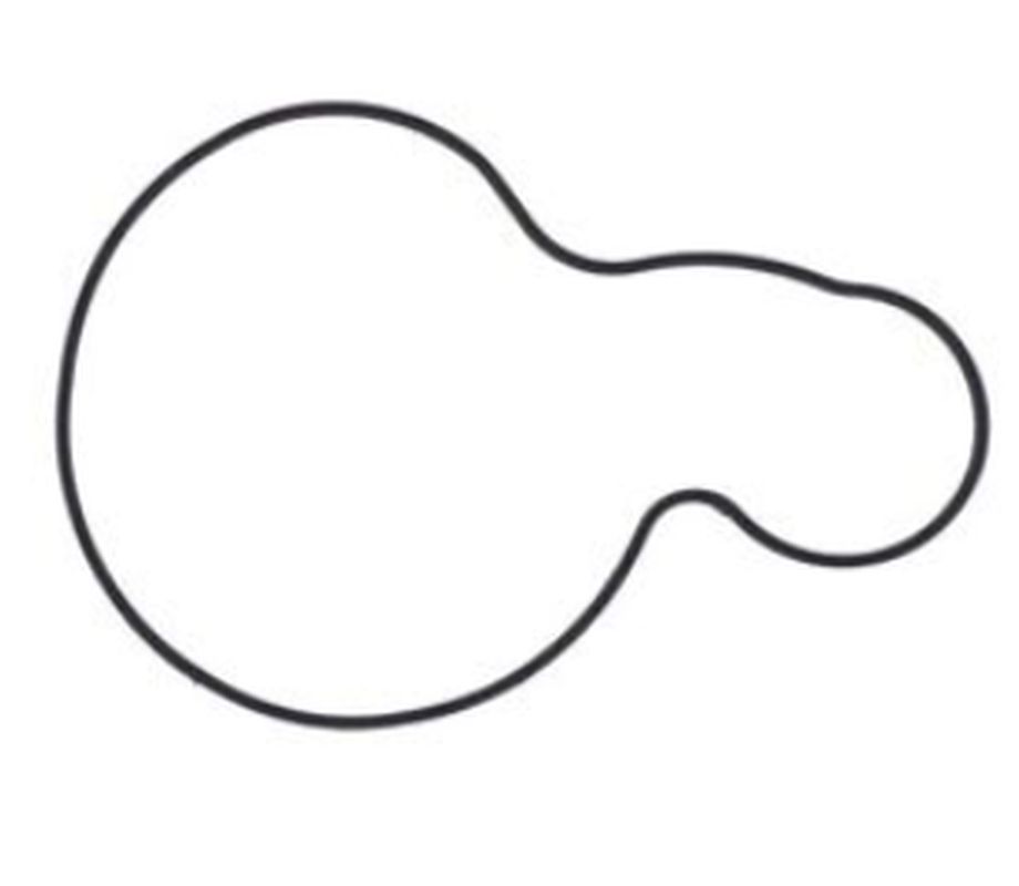 Water pump gasket KTM SMR/SX-F/SXS-F/XC-F 450/505 (OEM: 77335053000), Athena