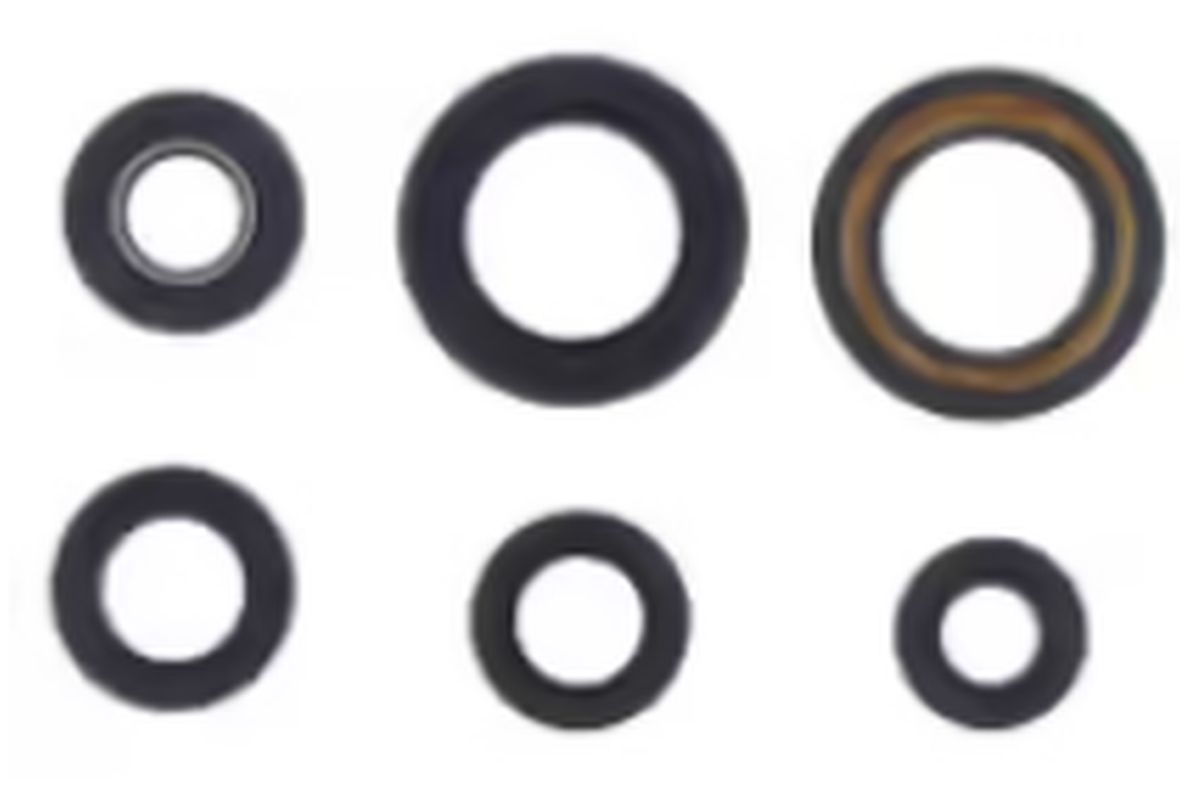 Engine Oil Seals Kit YAMAHA XT600E/K '96-02, Athena