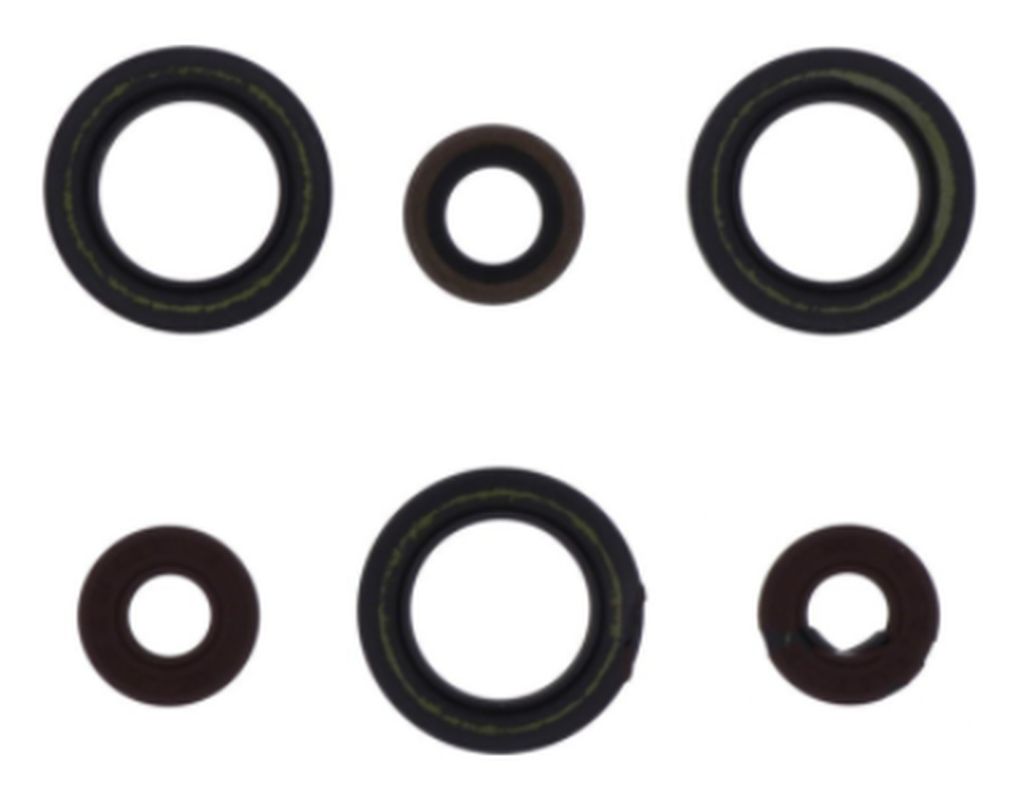 Engine Oil Seals Kit SHERCO SE-R 125 18-21, Athena
