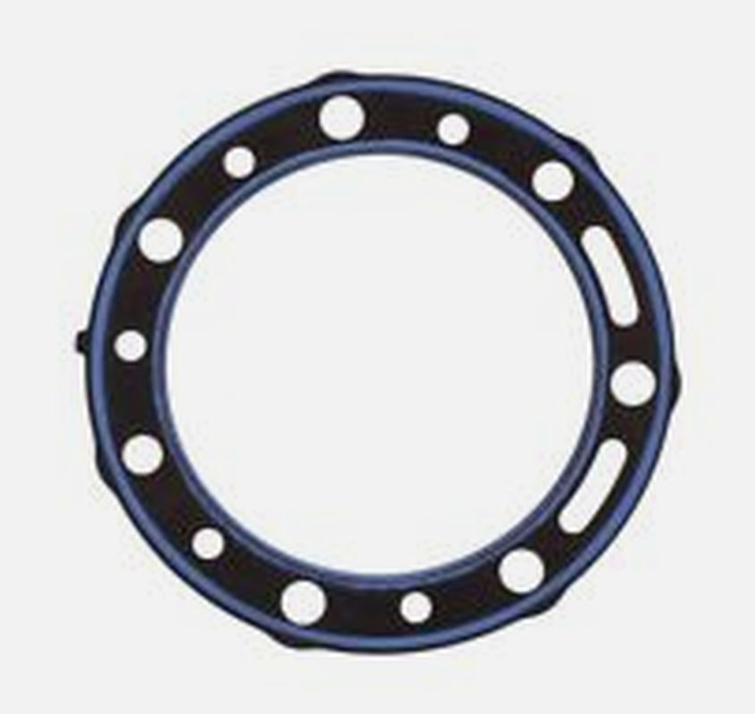 Cylinder head gasket BETA EVO 290 '09-'11 (OEM:1667214000), Athena