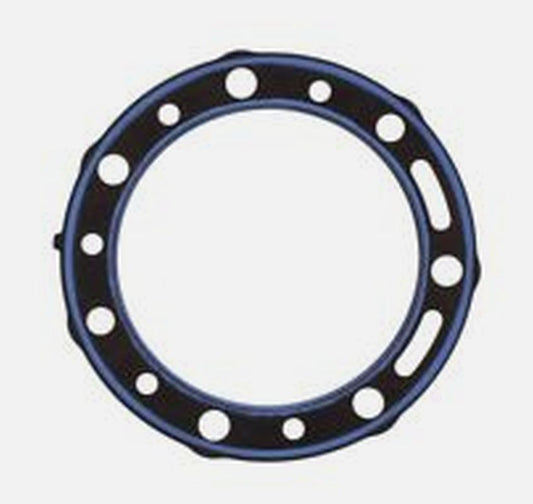 Cylinder head gasket BETA EVO 290 '09-'11 (OEM:1667214000), Athena