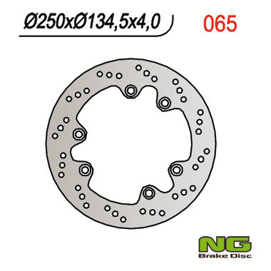 Brake disc (rotor) rear SUZUKI DR 600/650/750/800 (250x134,5x4), NG Brakes