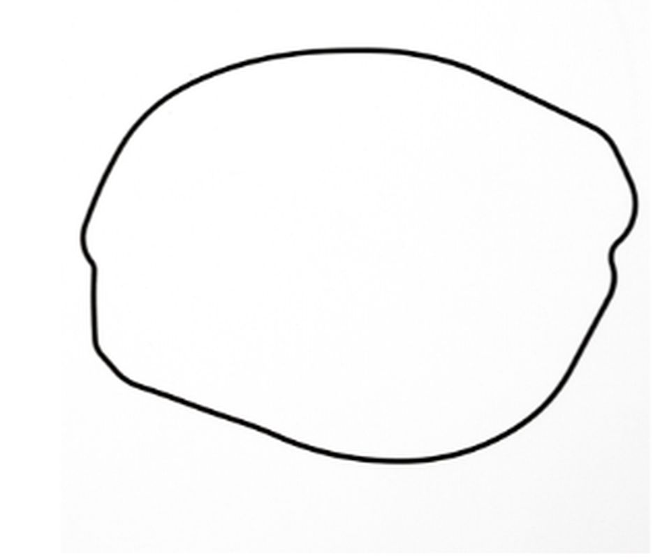 CLUTCH COVER GASKET HONDA CR 250 '02-'07 (OEM: 91311-KZ3-L21) (EXTERNAL), ProX
