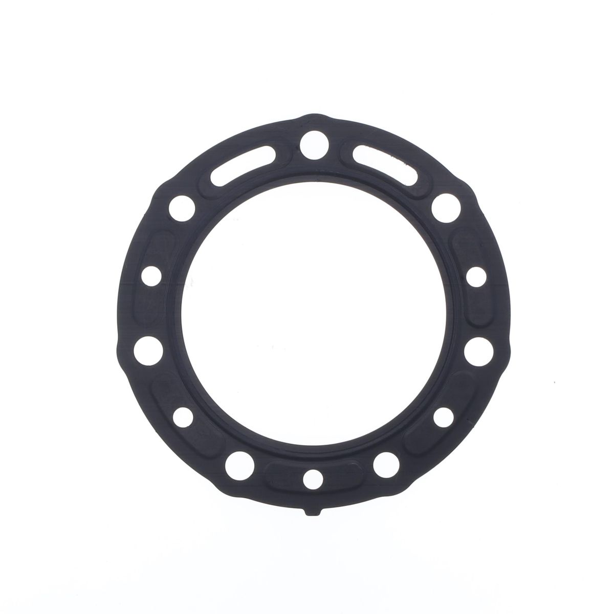 Cylinder Head Gasket BETA REV 250 00-08, OEM:1667204000, S410060001017