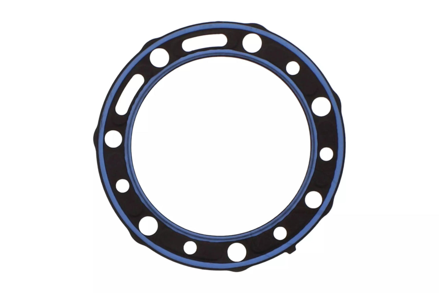 Cylinder Head Gasket BETA EVO 290 09-11, OEM:1667214000, S410060001019
