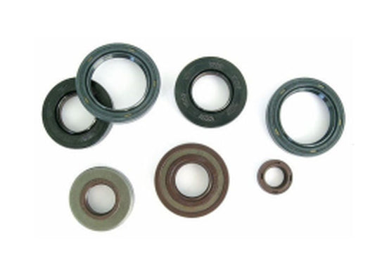 Engine Oil Seals Kit HONDA CB 250 '94-'07, Athena