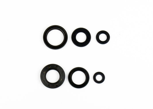 Engine Oil Seals Kit WR 200, Athena