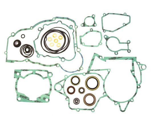 Gasket set BETA 250/300RR '13-24 (2T) ( with oil seals ) (replaces P400060900011); J0000BT000866, Athena