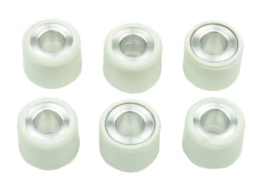 variator roller weights 6 pcs. 15X12 MM 5 GR. APRILIA AMICO/GULLIVER/SCARABEO/SONIC/SR 50, PIAGGIO BROVO/CIAO/GRILLO 50, YAMAHA BWS/CS/CT/CW/JOG/YH/YN/YQ/YW 50, Athena