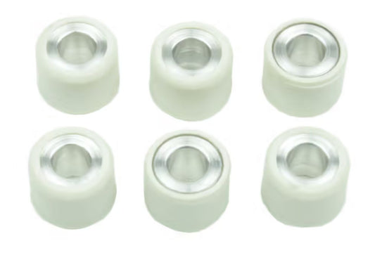 variator roller weights 6 pcs. 15X12 MM 6,5 GR. APRILIA AMICO/GULLIVER/SCARABEO/SONIC/SR 50, PIAGGIO BROVO/CIAO/GRILLO 50, YAMAHA BWS/CS/CT/CW/JOG/YH/YN/YQ/YW 50, Athena