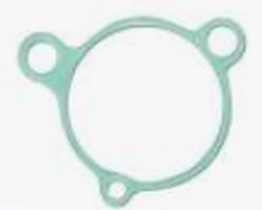 Starter Cover Gasket KTM 250/300 EXC '05-'16, FREERIDE 250R '14-'16, HUSQVARNA 250/300 TE '14-'16, Athena