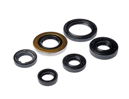 ENGINE SEAL KIT HONDA TRX 400EX '05-'08, TRX 400X '09-'14 (822278), Bearing WorX