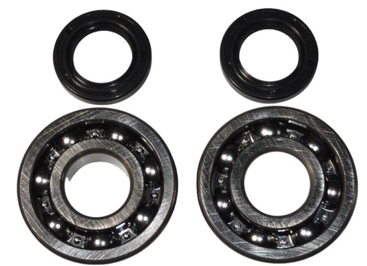 CRANKSHAFT BEARINGS KAWASAKI KDX 200 '91-'06, KDX 220 '97-'05 (NTN) (MADE IN JAPAN) (24-1045), Bearing WorX