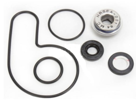 WATER PUMP REPAIR KIT ARCTIC CAT DVX 400 '05-'08, KAWASAKI KFX 400 '05-'06, SUZUKI LTZ 400 '05-'13 (WPK0054), Bearing WorX