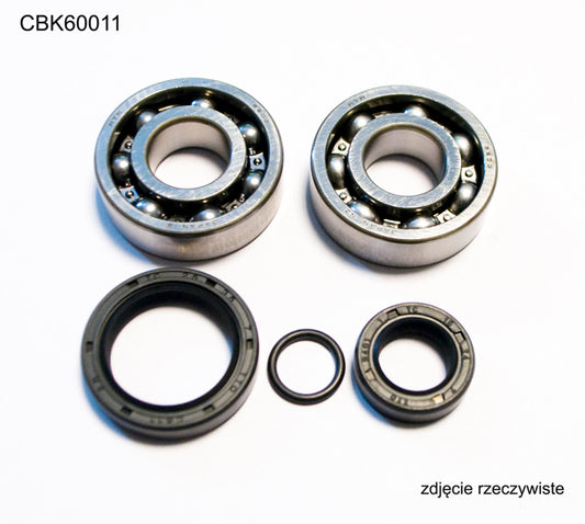 CRANKSHAFT BEARINGS KTM SX 50 10-12, SX50 MINI 09-15 (NTN) (MADE IN JAPAN) (24-1099), Bearing WorX