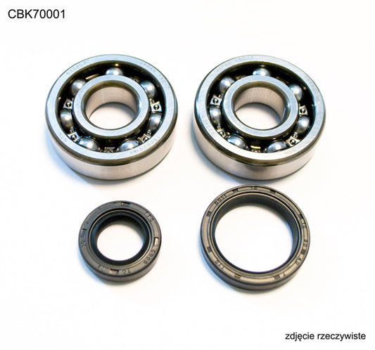 CRANKSHAFT BEARINGS SUZUKI RM 80/85 89-16 (NTN) (MADE IN JAPAN) (24-1014), Bearing WorX
