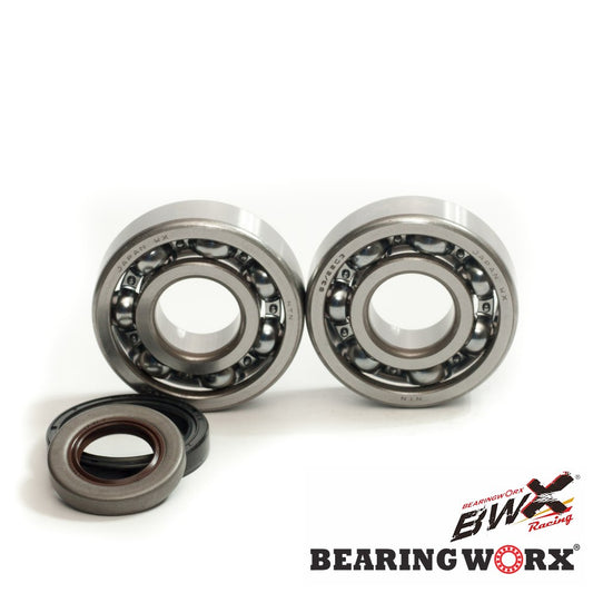 CRANKSHAFT BEARINGS WITH SEALS GAS GAS EC 125 '10- (NTN) (MADE IN JAPAN), Bearing WorX