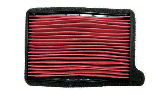 AIR FILTER TRIUMPH TRIDENT 660 '21-'24 (OEM: T2205986), EMGO