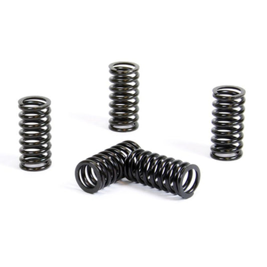 CLUTCH SPRINGS SUZUKI RM 125 '01-11 (EBS091), ProX