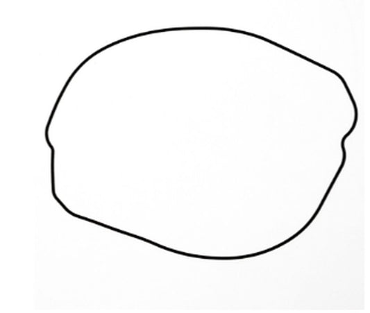 CLUTCH COVER GASKET HONDA CR 250 '02-'07 (OEM: 91311-KZ3-L21) (EXTERNAL), ProX