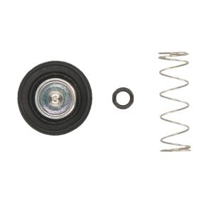 REPAIR KIT VALVE AIR CUT KAWASAKI KVF 650 BRUTE FORCE '05-13, 650/700 PRAIRIE '02-06, KFX 700 V '04-11 (MADE IN JAPAN)
